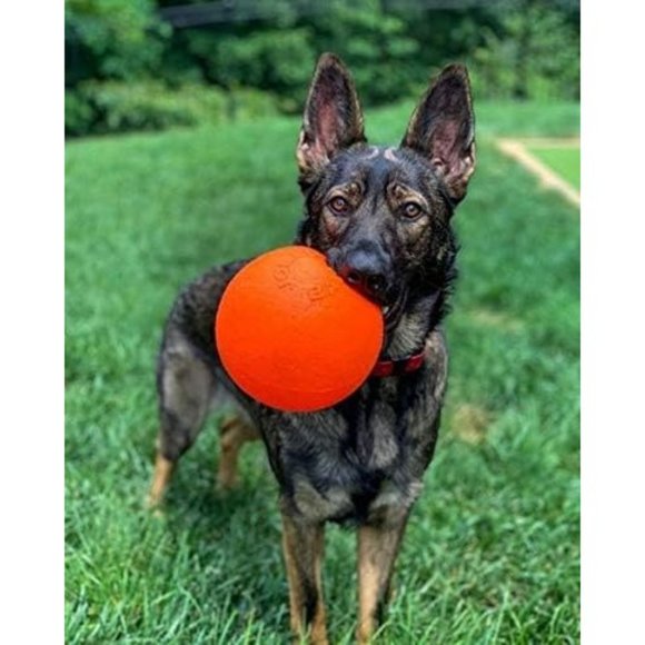 Jolly Pets Push-n-Play Ball Dog 4.5" Small Red Hard Plastic Toy For Dog - Picture 2 of 4